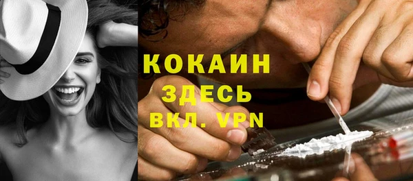 кокс Арсеньев